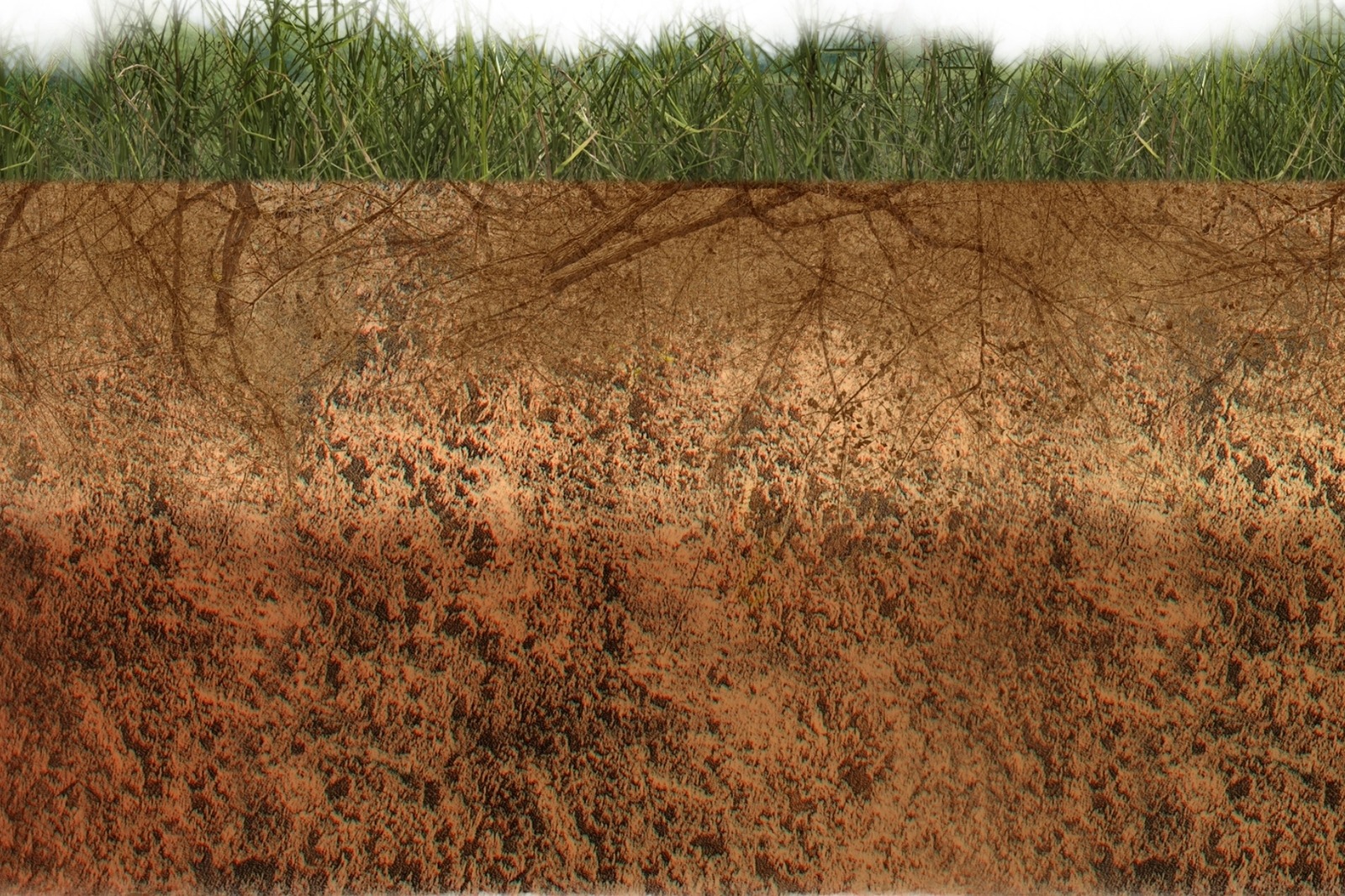 Soil | Palmer Bit Co.